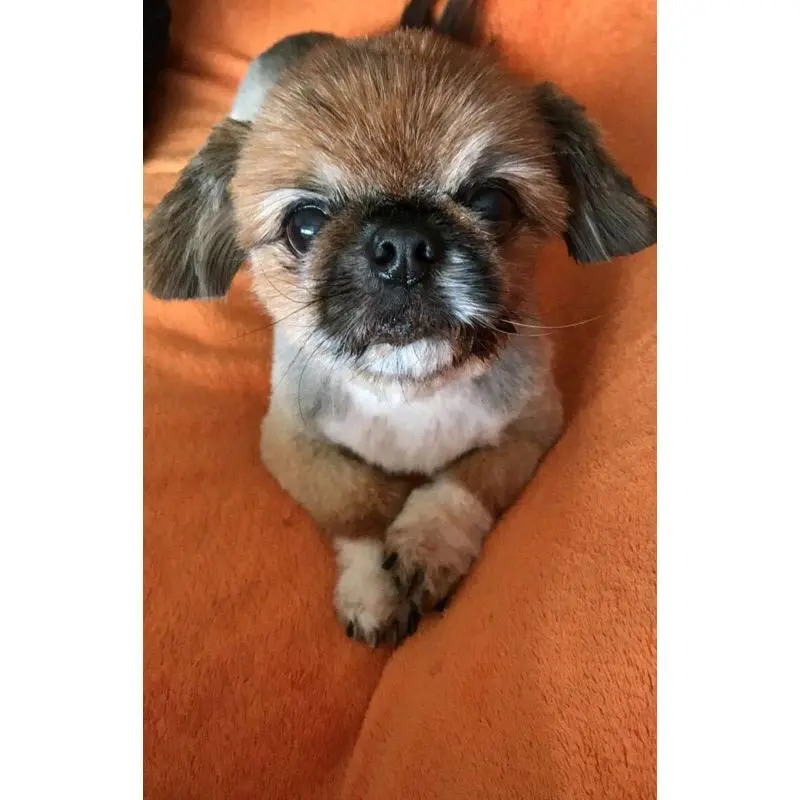Image from Kiki