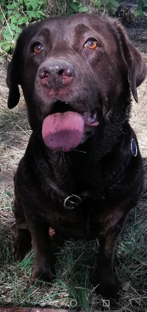 Andachtsbild von Bianka mit Ronja im Herz