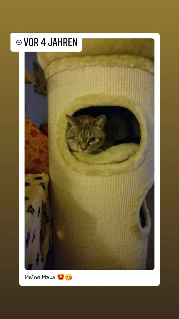 Image from Minki