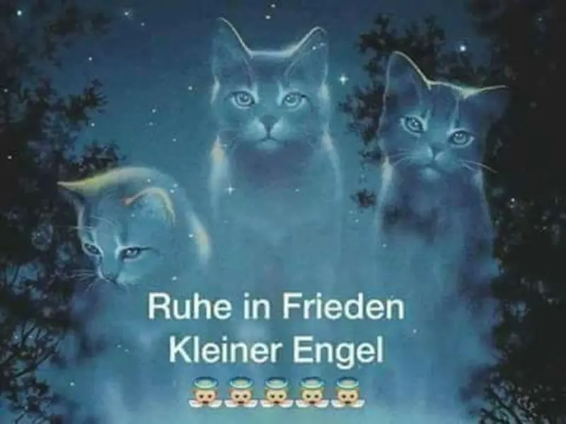 Andachtsbild von Katrin und Katzi im ❤️