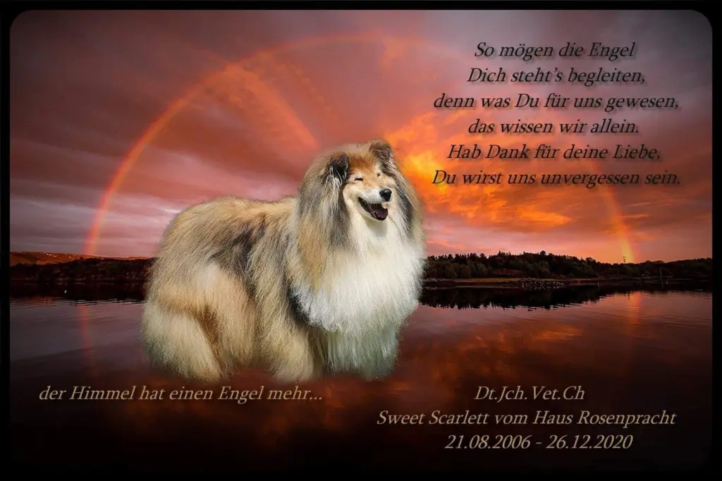 Image from Scarlett