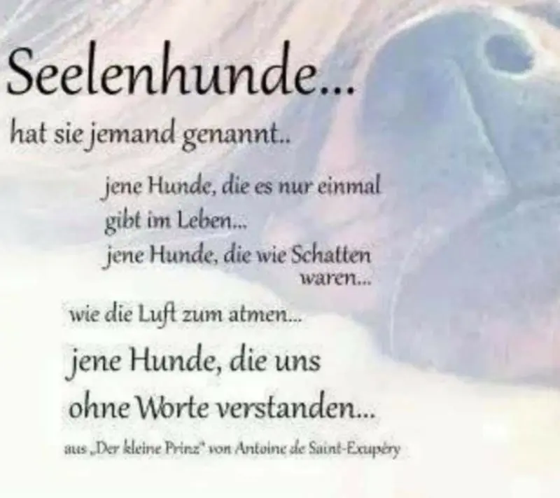 Andachtsbild von Gitta