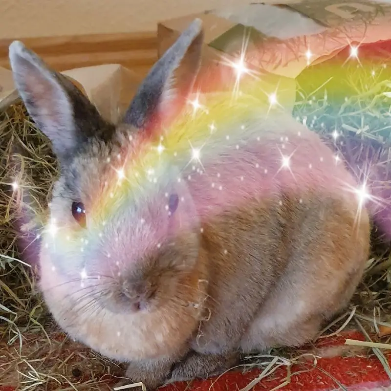 Andachtsbild von Patricia mit Bunny im ❤ 