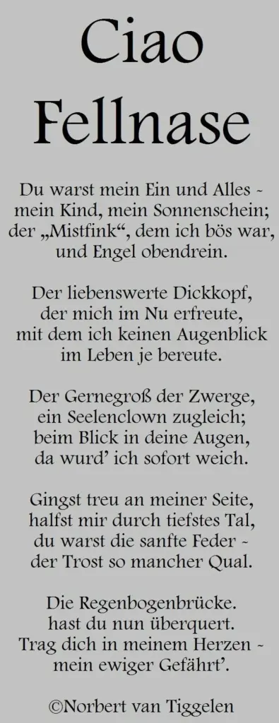 Andachtsbild von Andrea mit Minki im ❤ gest.19.10.2020