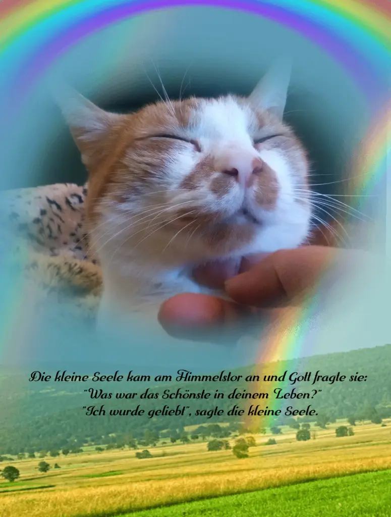 Andachtsbild von Patricia mit Schröder im Herzen ❤️