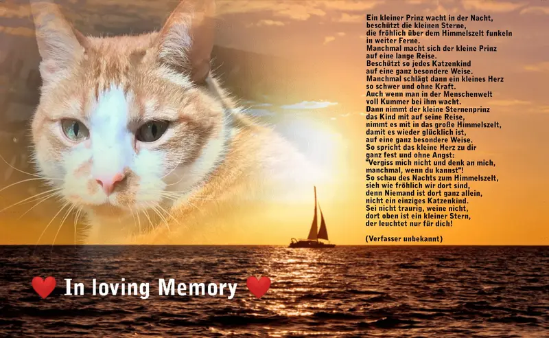 Andachtsbild von Patricia