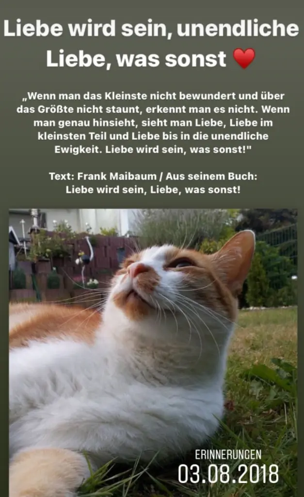 Andachtsbild von Patricia