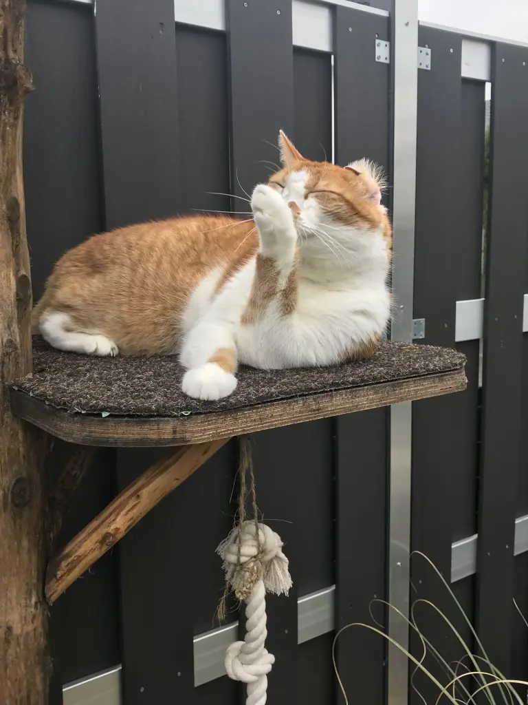 Andachtsbild von Patricia