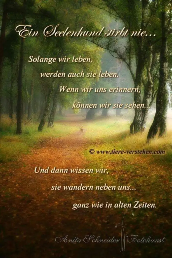 Condolence image of Gabi mit Max (gest. 20.11.2020)