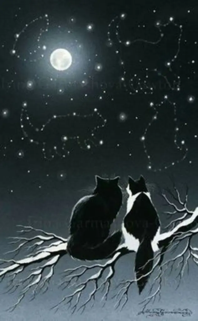 Condolence image of Katrin und Katzi im ❤️