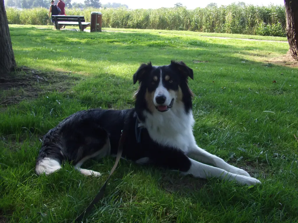 Condolence image of Katja