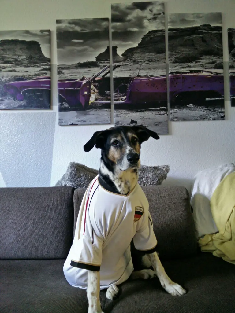 Image from Sam
