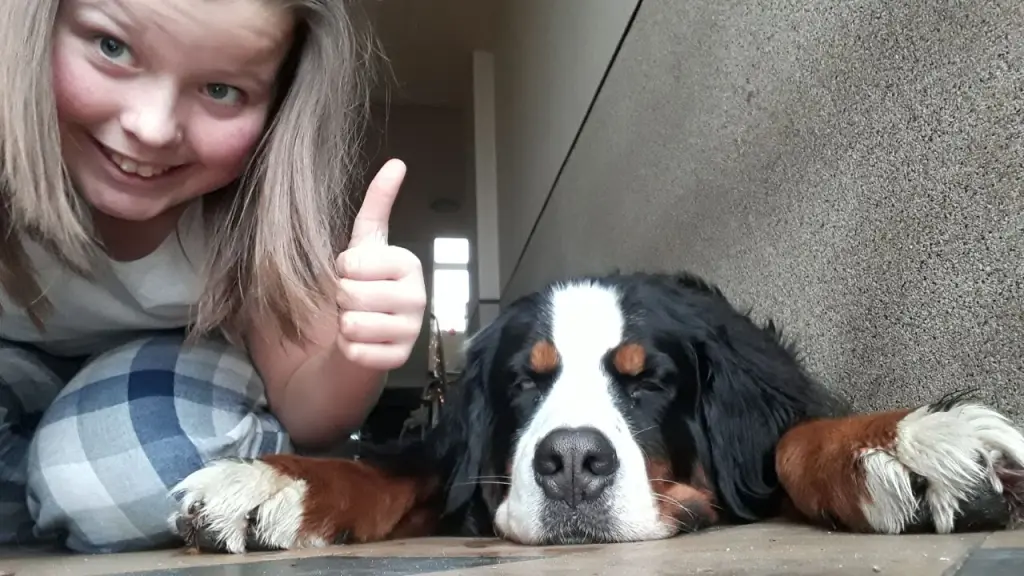 Bild von Balu