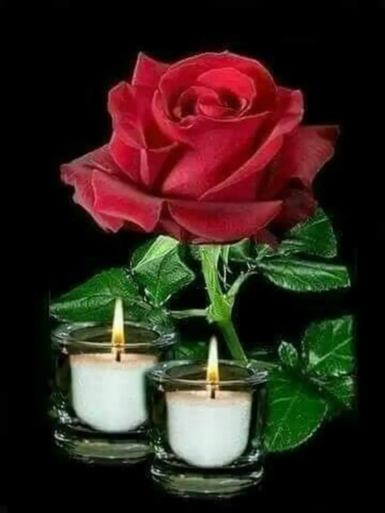 Condolence image of ❤