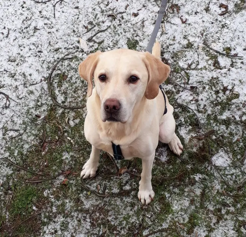 Condolence image of Andrea