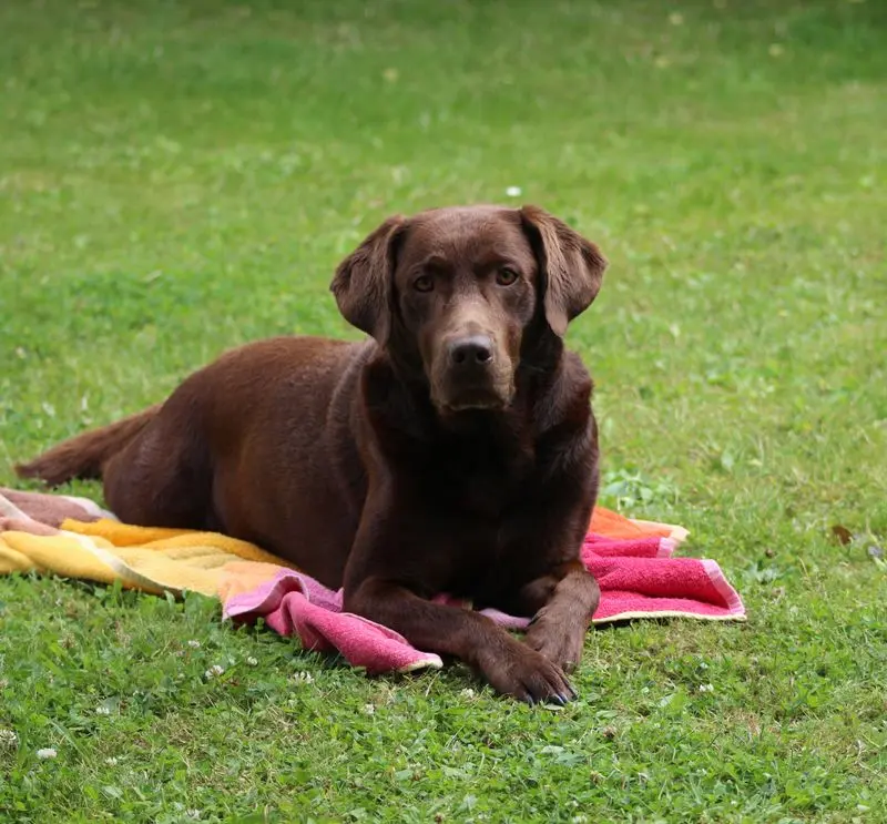 Condolence image of Silvana