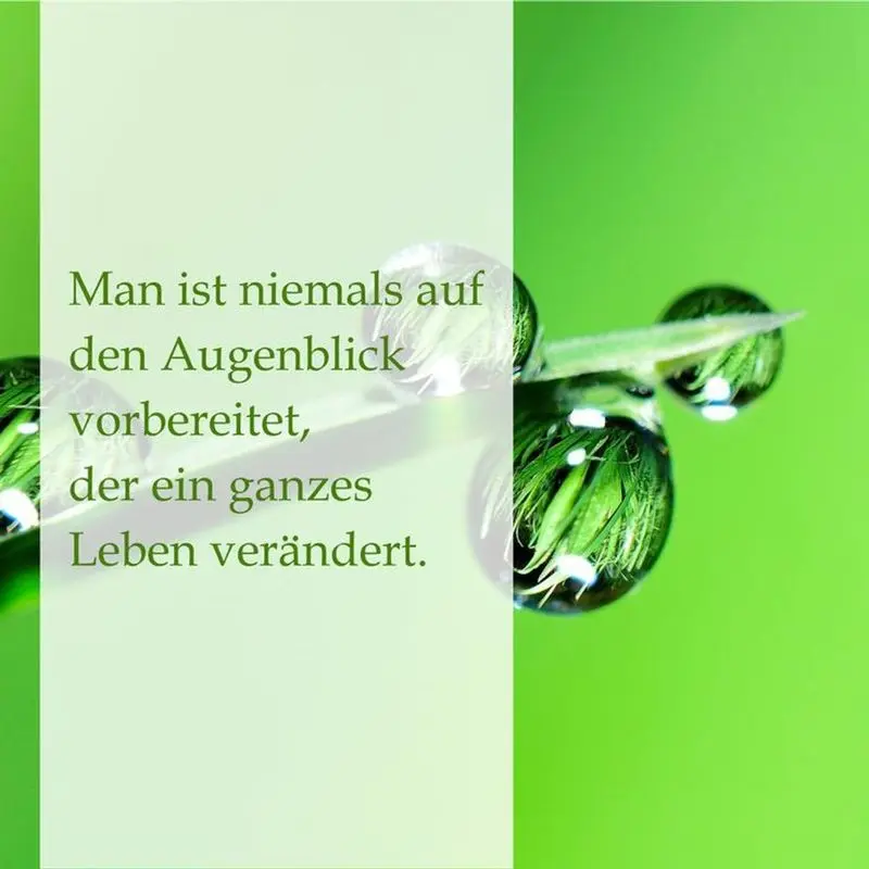 Condolence image of Gabi mit Max (gest. 20.11.2020)