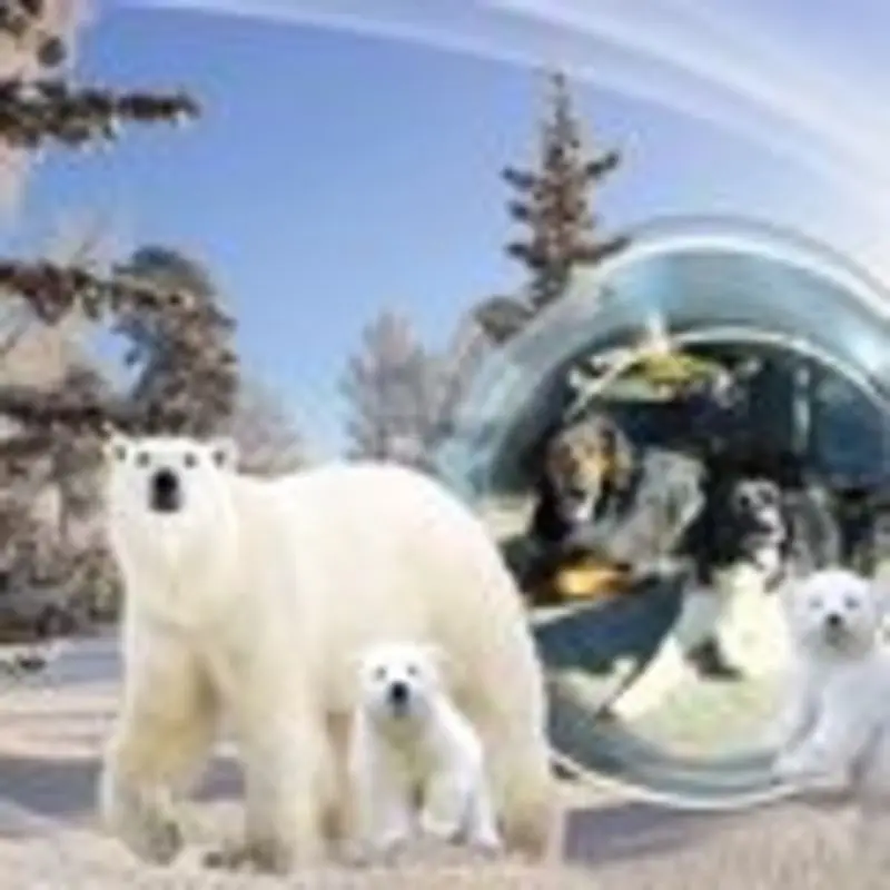 Andachtsbild von Brigitte mit Nelly, Benny und Axel im Herzen