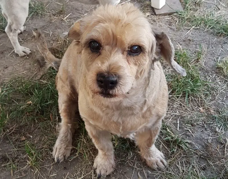 Condolence image of Renate