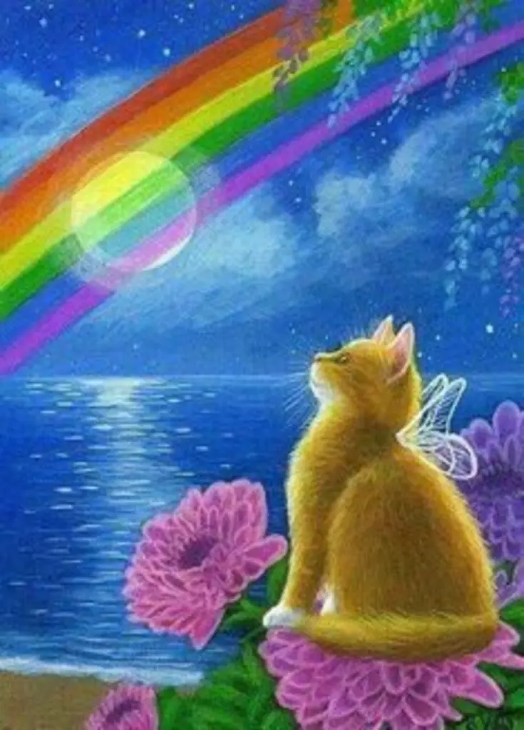 Condolence image of Katrin und Katzi im ❤️