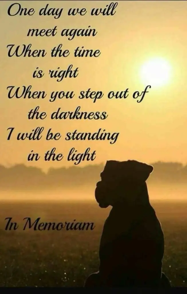 Andachtsbild von Andrea mit Minki im ❤ gest.19.10.2020