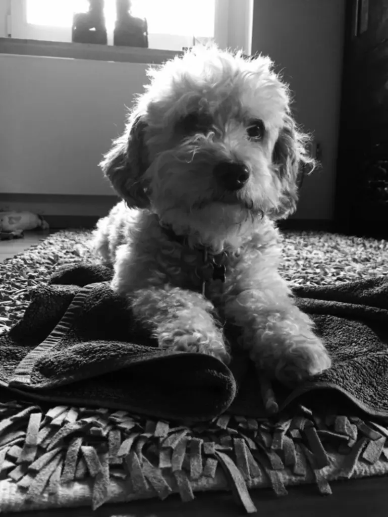 Andachtsbild von Heike