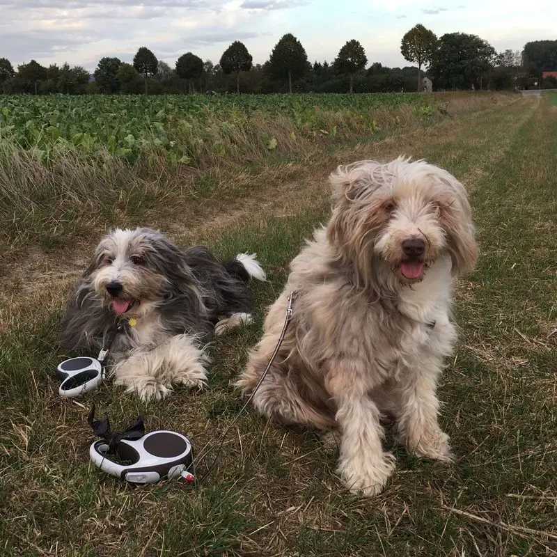 Andachtsbild von Romy + Anita + Jenny
