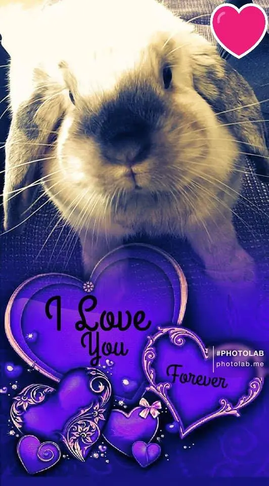 Image from Trudy