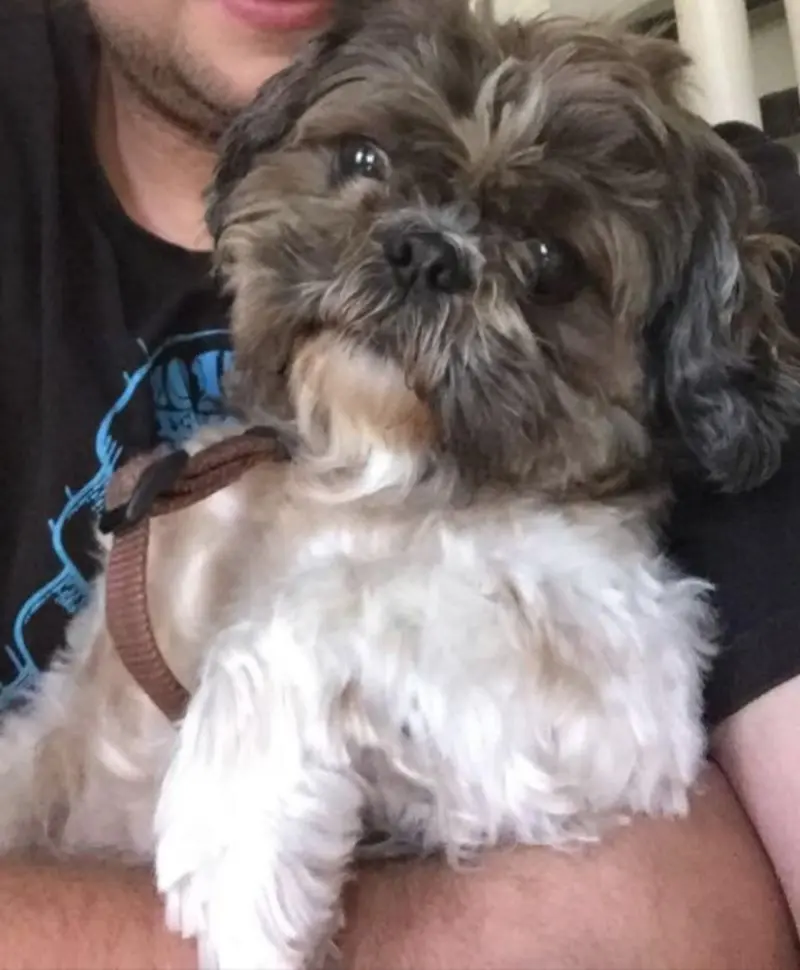 Andachtsbild von Jutta