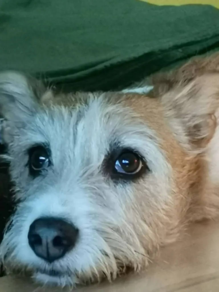 Condolence image of Nicky