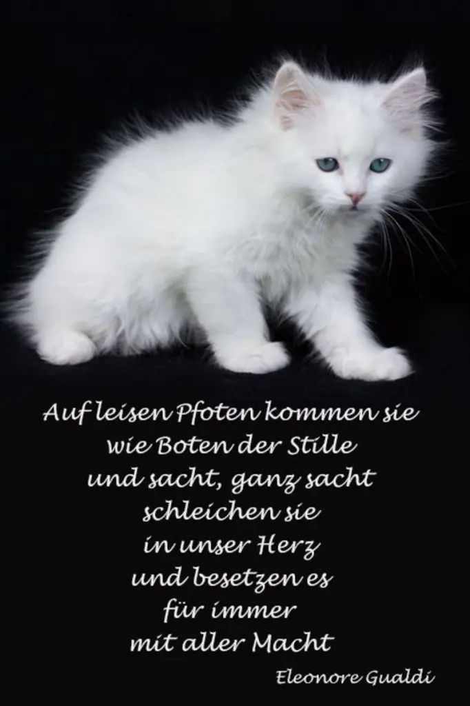 Condolence image of Jeannette mit Sisi und Lissy im ❤️