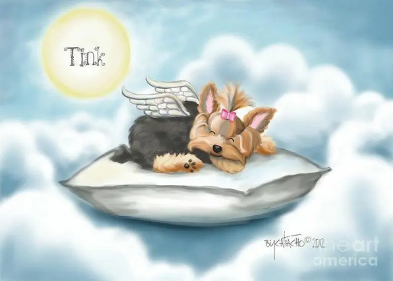 Condolence image of Unbekannt