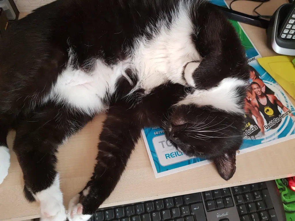 Image from Meiki