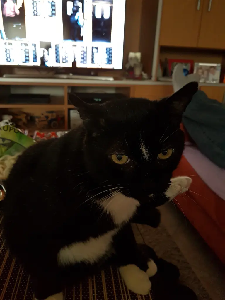 Image from Meiki