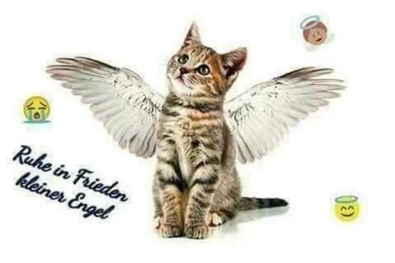 Andachtsbild von Jeannette mit Sisi und Lissy im ❤️