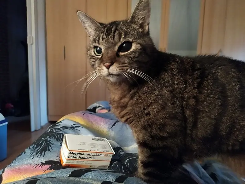 Andachtsbild von Unbekannt