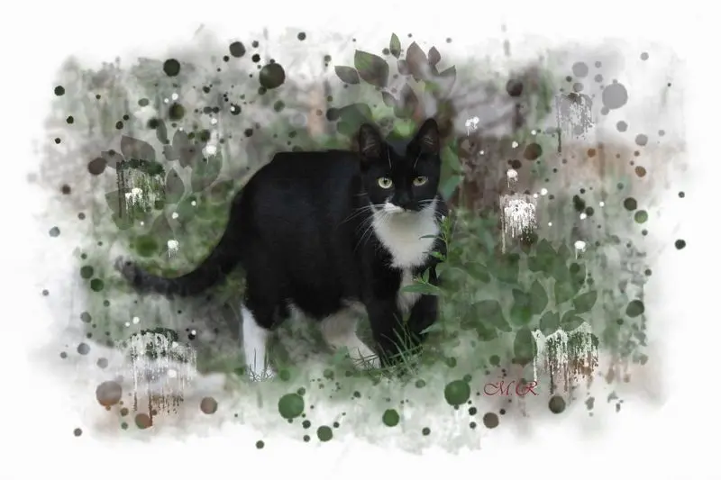 Condolence image of Andrea