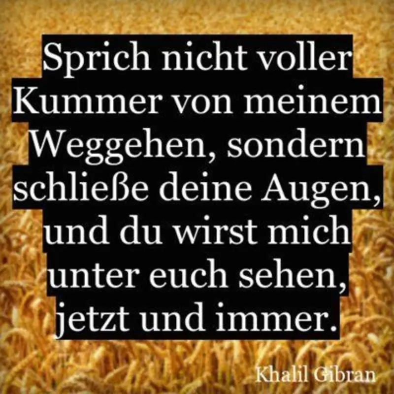 Andachtsbild von Jeannette mit Sisi und Lissy im ❤️