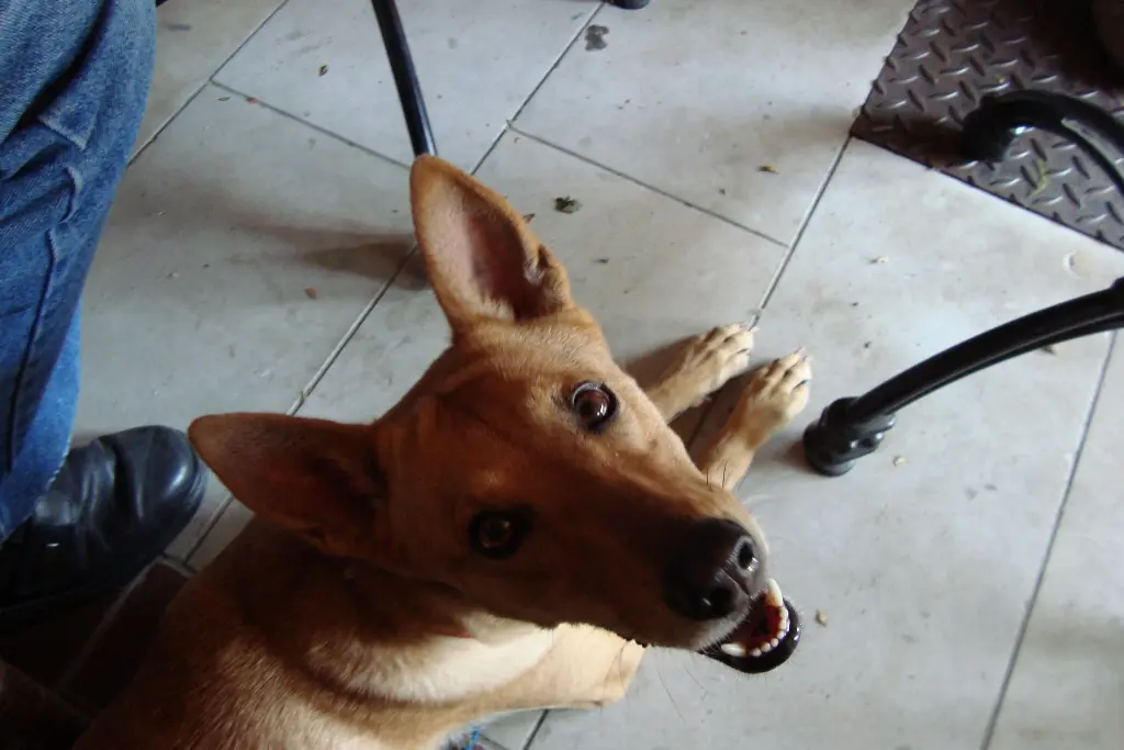 Image from Kitty