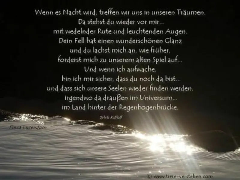 Andachtsbild von Andrea mit Minki im ❤ gest.19.10.2020