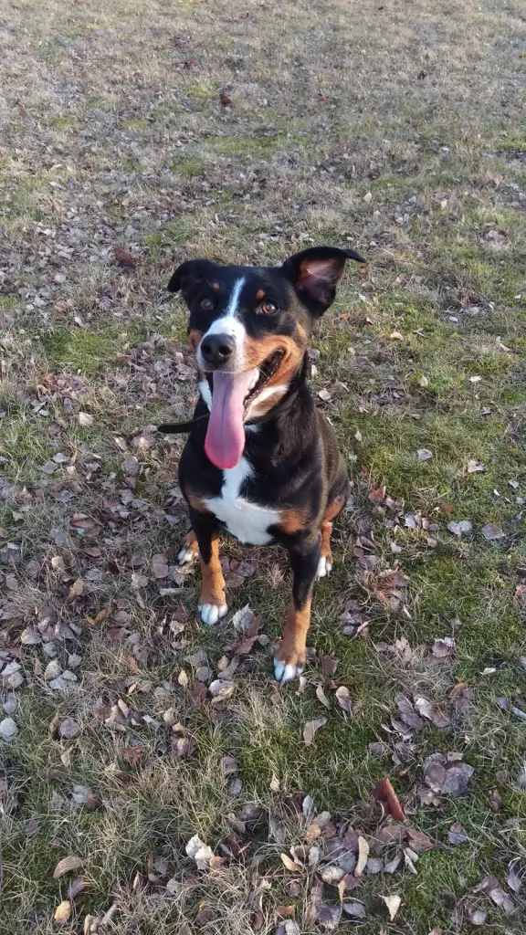Bild von Cleo