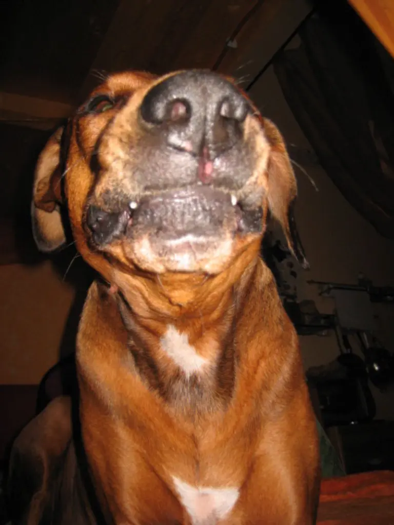 Condolence image of Katja