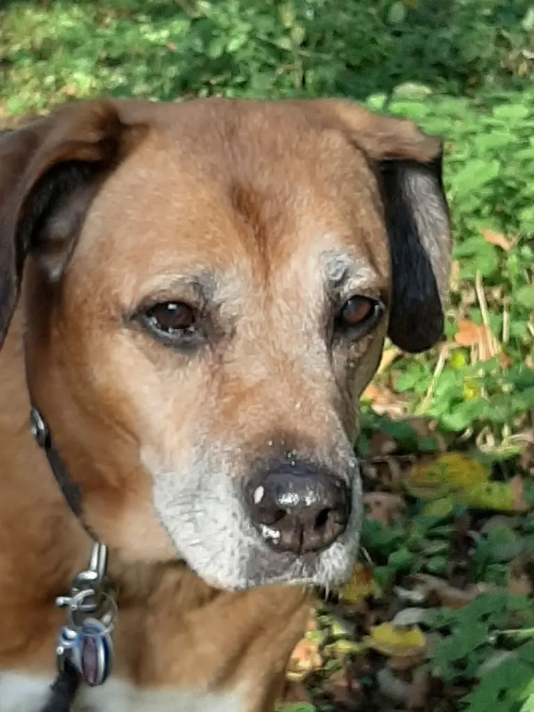 Condolence image of Anja