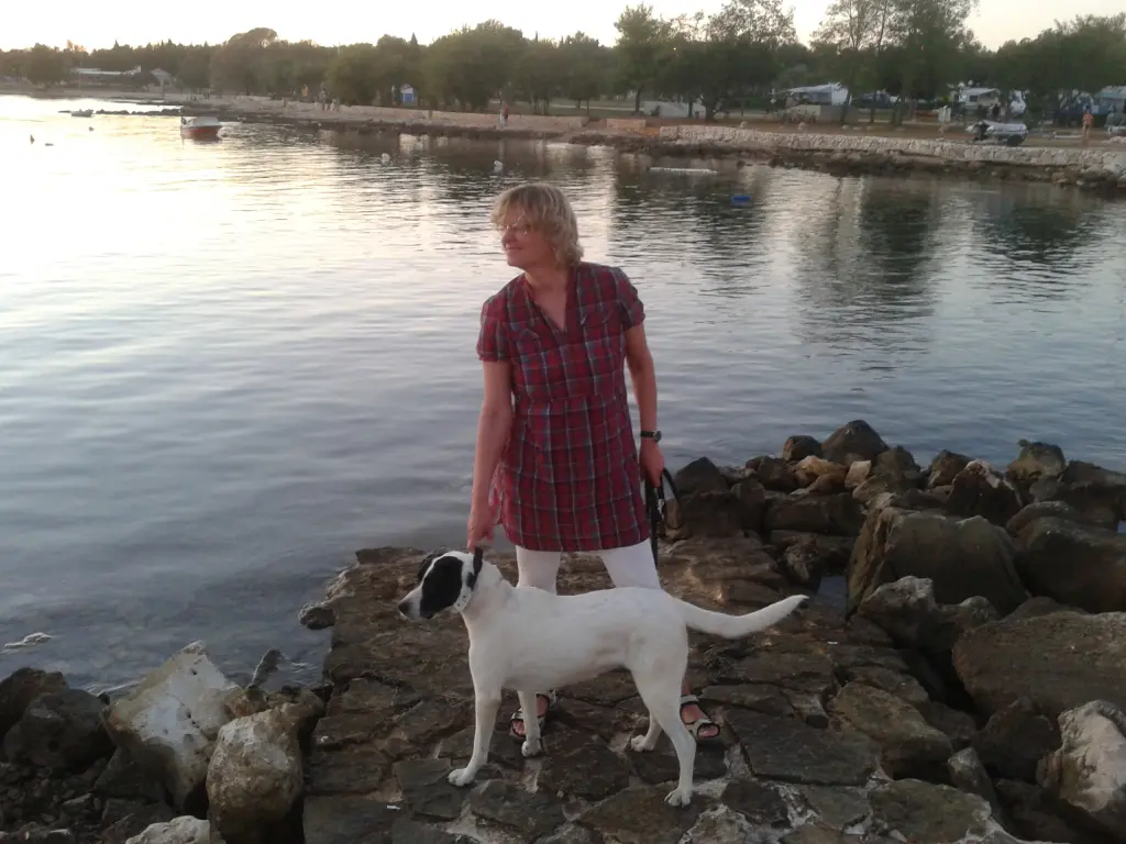 Image from Lissy
