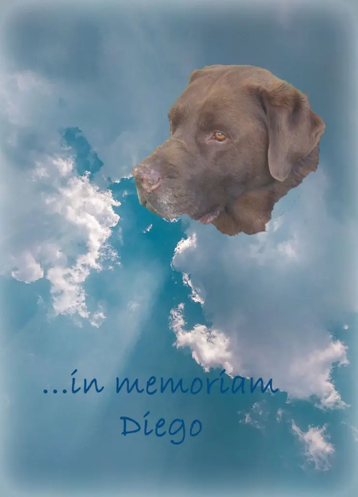 Condolence image of MS