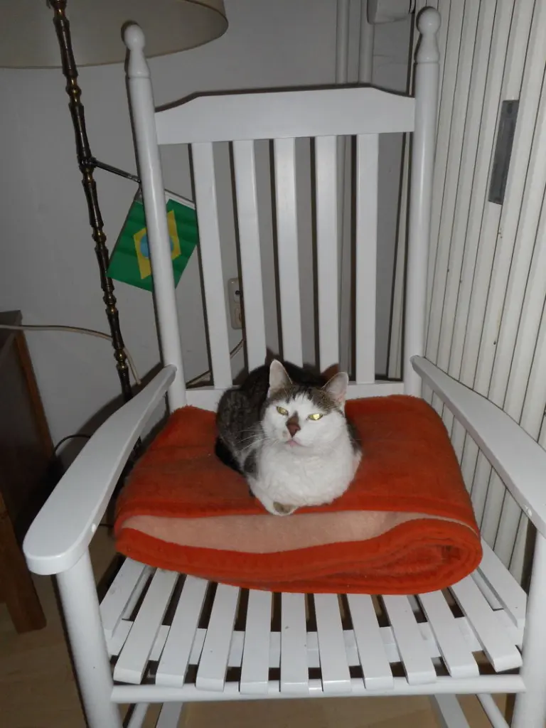 Image from Bandito