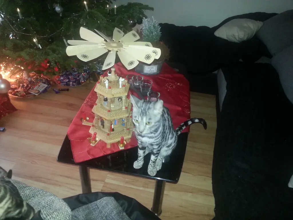 Image from Minnie