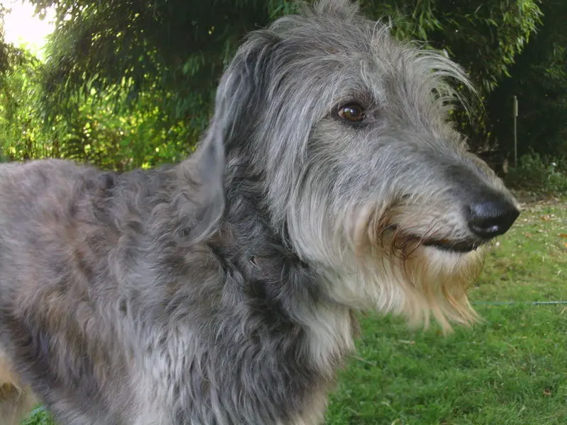 Condolence image of Verena