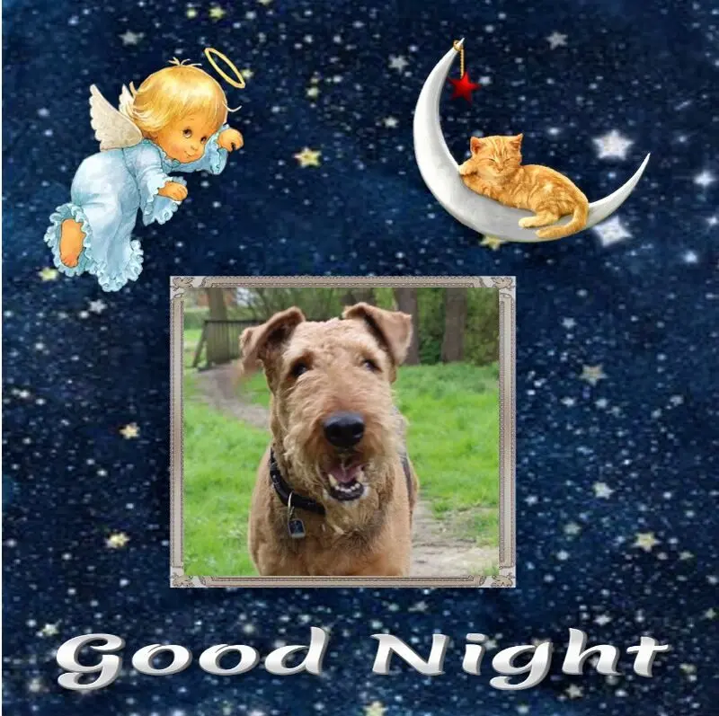 Condolence image of Guten Abend❤️❤️❤️