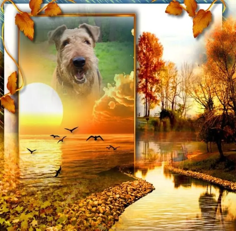 Condolence image of Schone❤️❤️❤️Wochenende❤️❤️❤️Rosen❤️❤️❤️